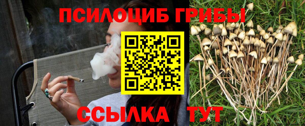 Псилоцибиновые грибы Psilocybe  Вход с VPN  где можно купить   Лангепас 